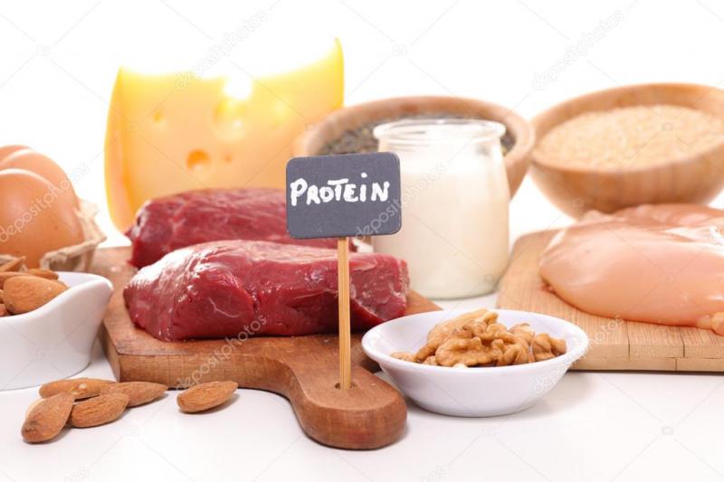 Protein Ürünleri